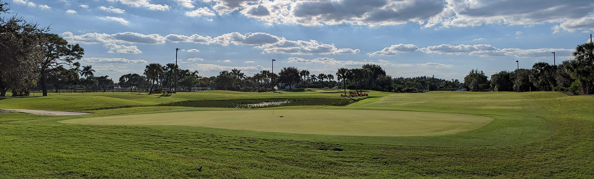 john prince golf learning center golf course with hole